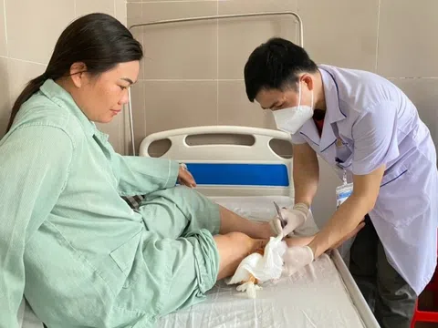 Bệnh viện tiếp nhận hơn 20 người bị chó cắn trong một tháng