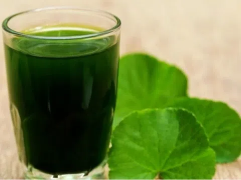Uống nước rau má mùa hè có tác dụng gì?