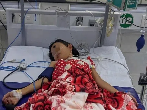 Bé gái 7 tuổi sốc sốt xuất huyết, phải thở máy do nhập viện trễ