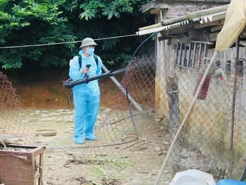 2 ca mắc viêm não Nhật Bản B ở Quảng Ninh có triệu chứng sốt, đau đầu