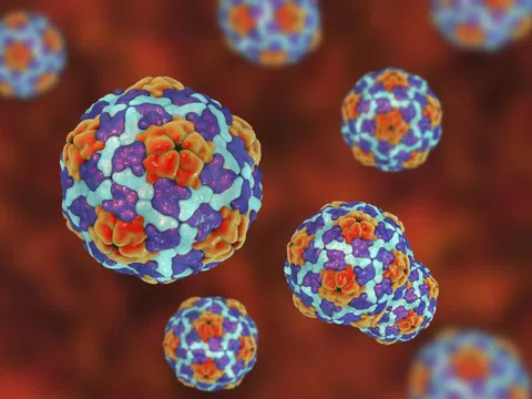 Dấu hiệu cảnh báo bạn nhiễm virus viêm gan A