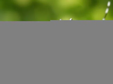 Bé 12 tuổi nguy kịch vì căn bệnh quen thuộc