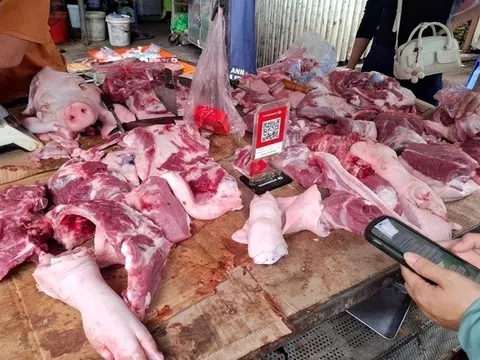 Bằng mắt thường có thể nhận biết được thịt lợn mắc dịch tả châu Phi?