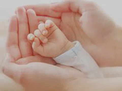 Em bé chào đời từ phôi thai đông lạnh 31 năm