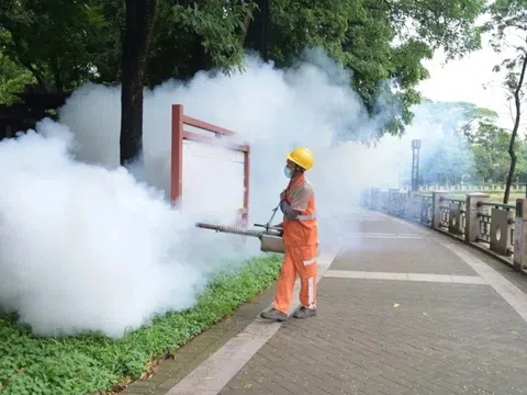 Hiểu đúng về cảnh báo khẩn với bệnh Chikungunya