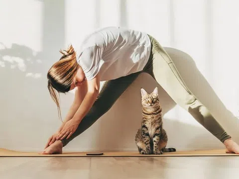 Thói quen hàng ngày của những người hiếm khi bị ốm