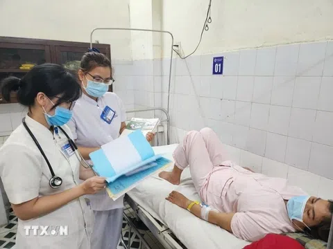 Huế không ghi nhận thêm ca bệnh liên cầu lợn ở người trong 18 ngày