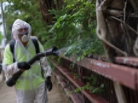 TP.HCM công bố kế hoạch phòng bệnh Chikungunya