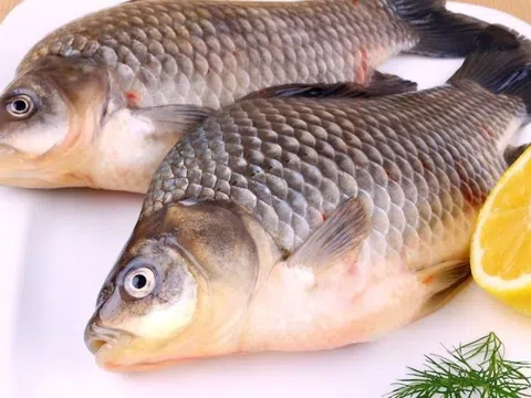 Hai loại cá vừa ngon vừa rẻ, nên có trong bữa ăn
