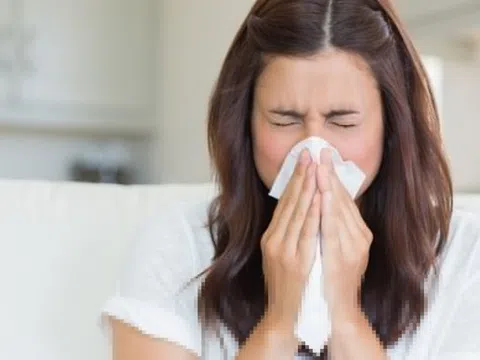 4 vị thuốc nam phòng và trị cảm mạo