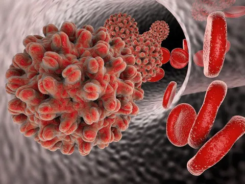 Con đường lây của virus viêm gan B