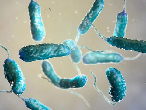 Căn bệnh nguy hiểm gia tăng, 5 người nhiễm thì 1 không qua khỏi