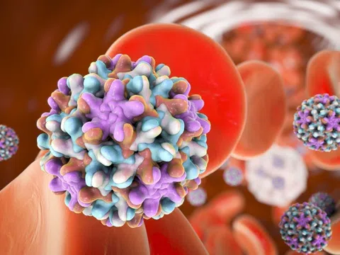 Virus 'sát thủ thầm lặng' gây ung thư gan
