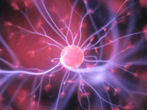 Người trưởng thành vẫn có thể sản sinh tế bào não mới?