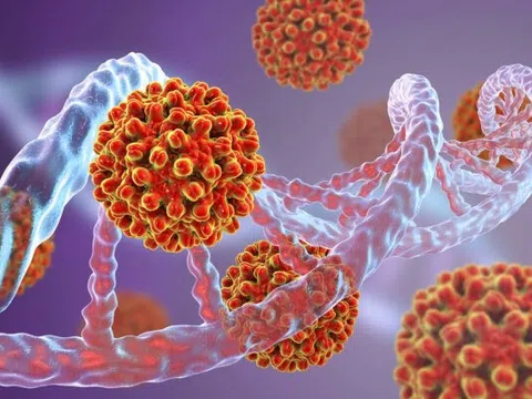 Virus viêm gan B có lây khi ăn uống cùng người nhiễm?