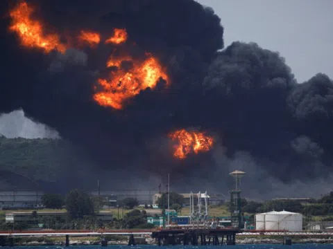 Than, dầu, khí đốt đầu độc con người từ trong bụng mẹ đến lúc chết