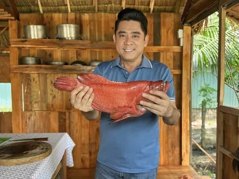 Tình trạng nghệ sĩ Huỳnh Anh Tuấn sau đột quỵ