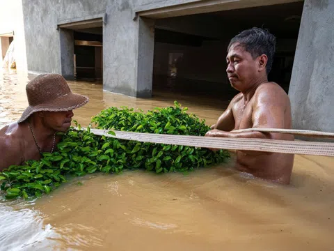 Bác sĩ Bạch Mai, Huế, Gia Lai đồng loạt chi viện cho vùng lũ