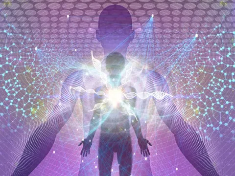 Mỹ chi 14,2 triệu USD để giải mã 'giác quan thứ sáu'