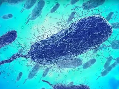 Tiếp xúc nước biển, người đàn ông nhiễm vi khuẩn ăn thịt người