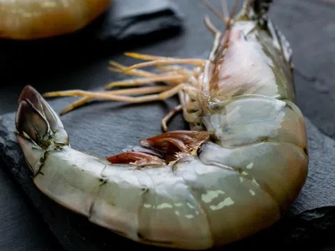 Bộ phận của tôm chứa đầy ký sinh trùng, không nên ăn