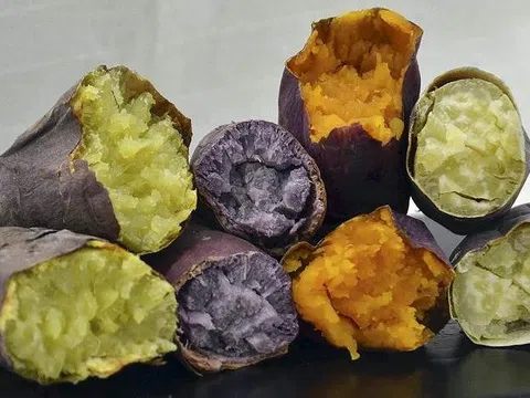 Tin mừng cho người thích ăn khoai lang