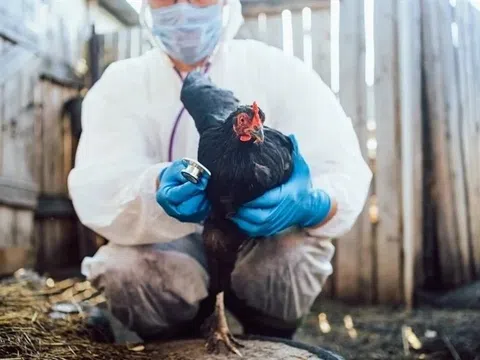 Thế giới có thể sắp đối mặt đại dịch mới