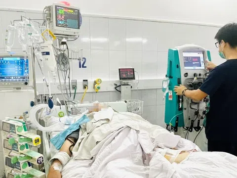 Bắt rắn hoa cổ đỏ, người đàn ông 31 tuổi nguy kịch