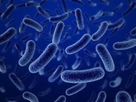 Lỵ trực trùng có nguy hiểm không?