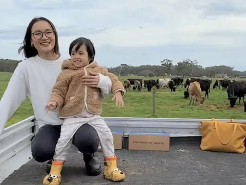 Vì sao sữa tươi '10 không' được Giang Ơi và nhiều mẹ bỉm tin dùng?