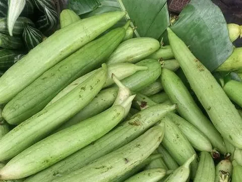 Liệu pháp tự nhiên phòng chữa chứng chảy máu mũi tại nhà