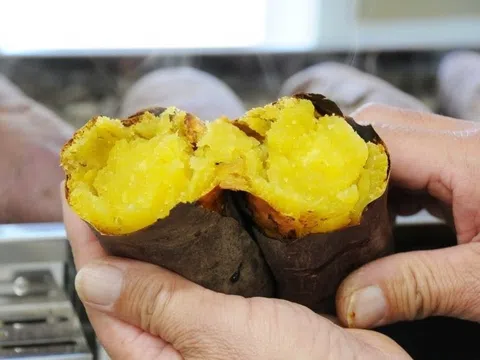 Điều gì xảy ra với người ngày nào cũng ăn khoai lang?