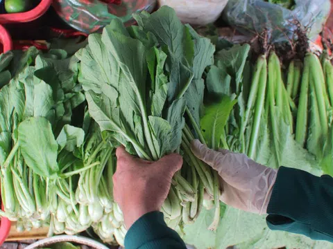 Bạn nên ăn bao nhiêu rau và trái cây mỗi ngày?