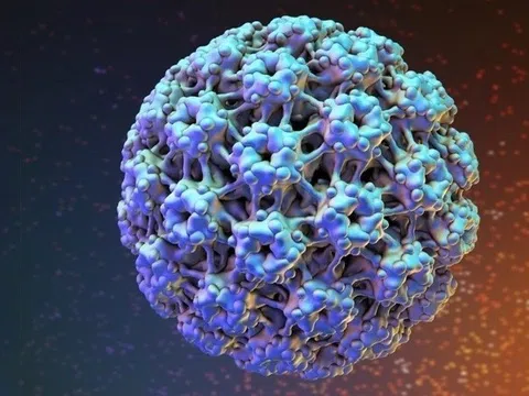 Dấu hiệu nhiễm virus HPV ở nam giới