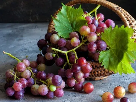 Tin mừng cho người thích ăn nho