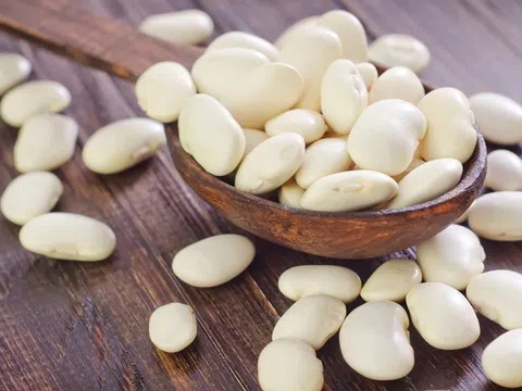 Lợi ích của đậu trắng đối với sức khoẻ