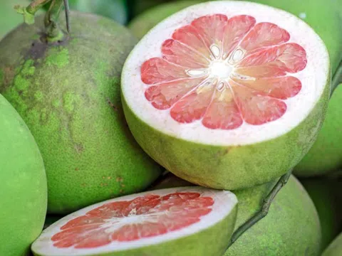 Bưởi - loại trái ngon nhiều lợi ích cho sức khỏe