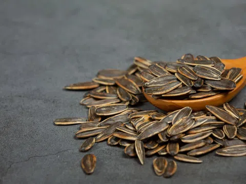 Tin mừng cho người thích ăn hạt hướng dương