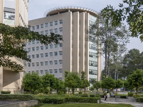 Góc bình yên hiếm có ở bệnh viện có mảng xanh lớn nhất TP.HCM