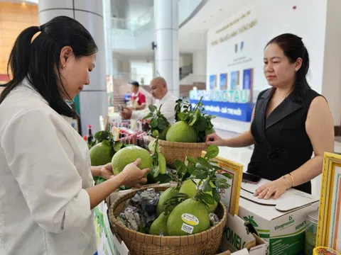 98% mẫu thực phẩm từ 6 tỉnh đưa vào TP.HCM đạt chuẩn an toàn?