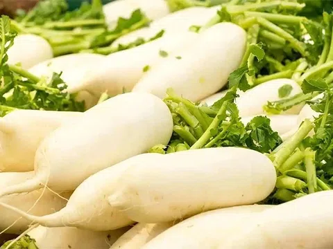 4 thực phẩm kỵ củ cải, tránh kết hợp bừa bãi kẻo gây hại