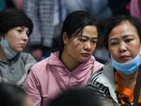 Vượt trăm cây số, bán nhà đến TP.HCM chữa ung thư