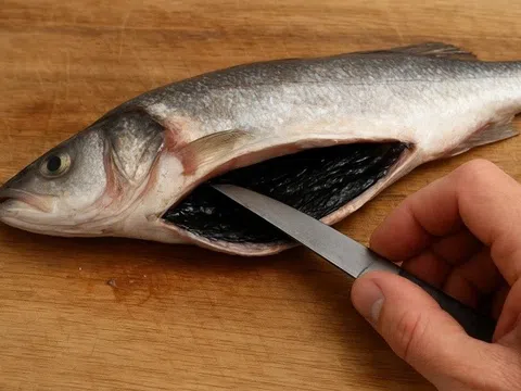 Lớp màng đen trong bụng cá có nên ăn hay phải cạo bỏ?