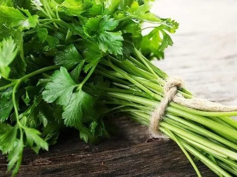 Cách nấu nước rau mùi giải độc cơ thể