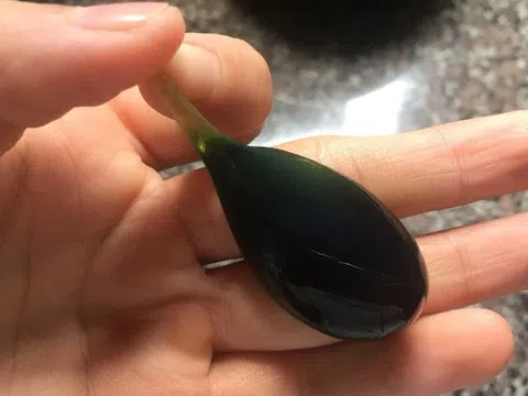 Uống mật cá ‘bồi bổ sức khỏe’, nhiều người tổn thương gan, suy thận