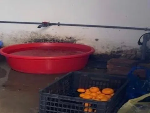 Phát hiện loạt vi phạm vệ sinh an toàn thực phẩm trong cung cấp suất ăn bán trú cho học sinh