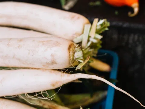 Lợi ích khi ăn củ cải trắng