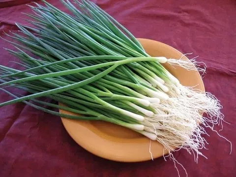 Tin mừng bất ngờ cho người thích ăn nhiều hành lá