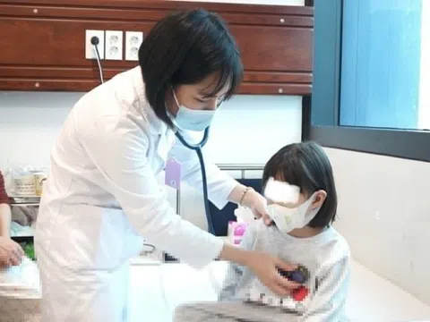 Hà Nội tập trung xử lý dịch bệnh, không để bùng phát trong dịp Tết