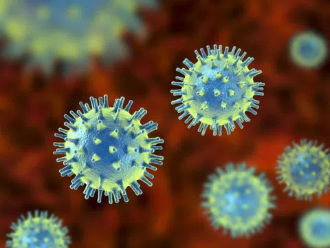 Virus lây lan mạnh nhất thế giới xuất hiện tại 2 sân bay lớn của Mỹ